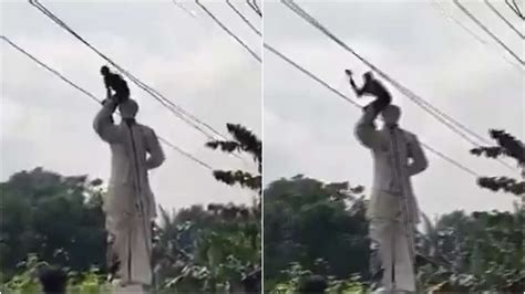 Bangladesh protests: Mob vandalises Sheikh Mujibur Rahman's statue in ...