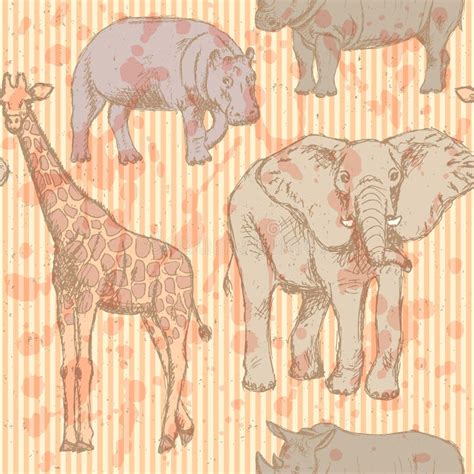 Schizzi L Elefante Il Rinoceronte Giraffa E L Ippopotamo Vector Il