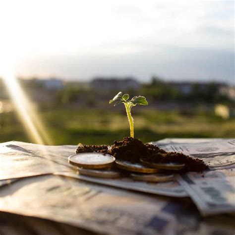 financial therapy fact sheet maggie baker ph