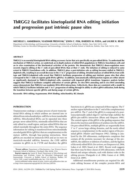 Pdf Tbrgg Facilitates Kinetoplastid Rna Editing Initiation And