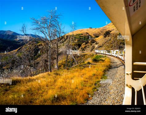 TranzAlpine Train approaching tunnel Stock Photo - Alamy