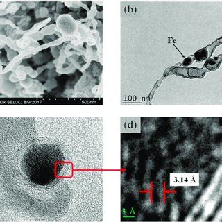 A Fe Sem B Fe Tem And C D Hrtem Images Of B N C Fe