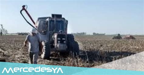 Mercedes Declarada En Desastre Agropecuario Y Emergencia Por Sequ A