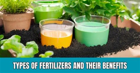 What Types of Fertilizer Are There and How They Help Plants Grow - Gardening Mentor