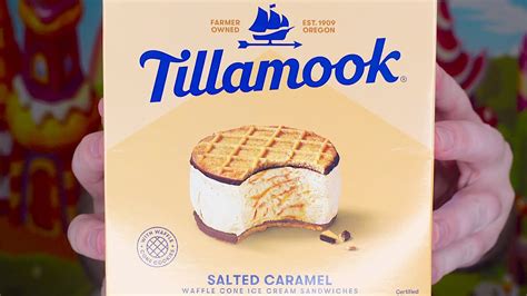 Tillamook Salted Caramel Waffle Cone Ice Cream Sandwich Review YouTube