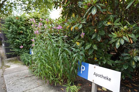 Parkplatz Bauerberg Apotheke Hamburg