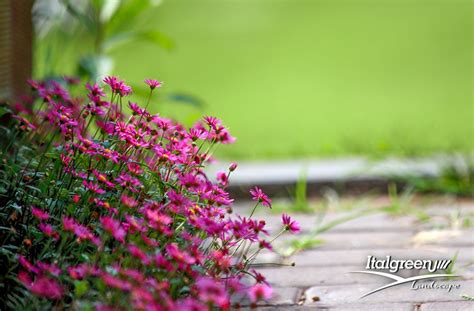 Giardino Commestibile Che Cos Italgreen Landscape