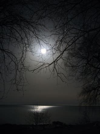 Free full moon reflection water Photos & Pictures | FreeImages