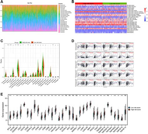 Bioinformatics Analysis And Experimental Validation Of A Novel