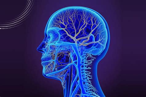 Bell’s Palsy: Diagnosis and Treatment Essentials