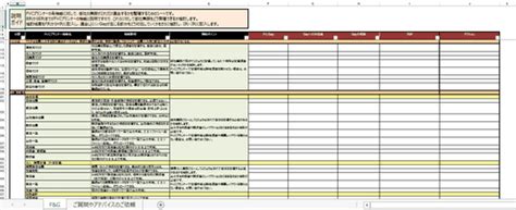 fitgap erp fvp