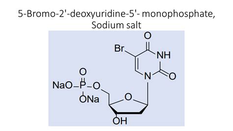 5 Bromo 2′ Deoxyuridine 5′ Monophosphate Sodium Salt Akonscientific