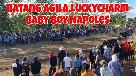 Karera Ng Kalabaw Lucky Charm Batang Agila Baby Boy Napoles Sa Malibay