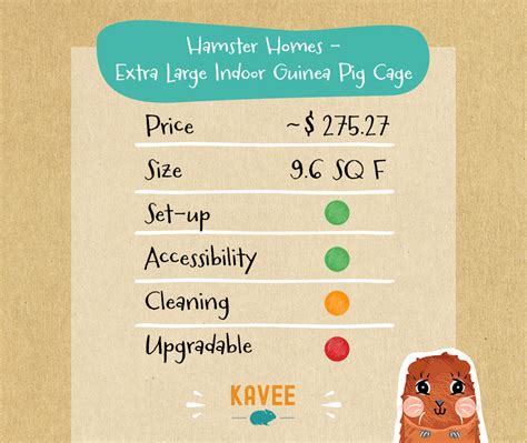 18+ Guinea Pig Cage Size Chart - MelenaDevyn