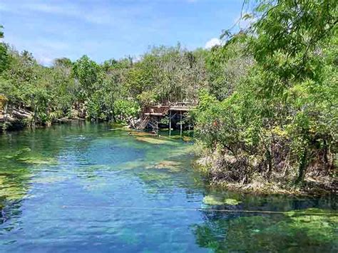 Best 4 Things in Cenote Jardin Del Eden Lago Playa del Carmen