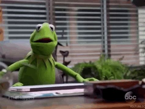 Kermitthefrog GIFs - Find & Share on GIPHY