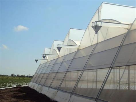 Square GI Pipe Greenhouses For Farming At Rs 850 Square Meter In