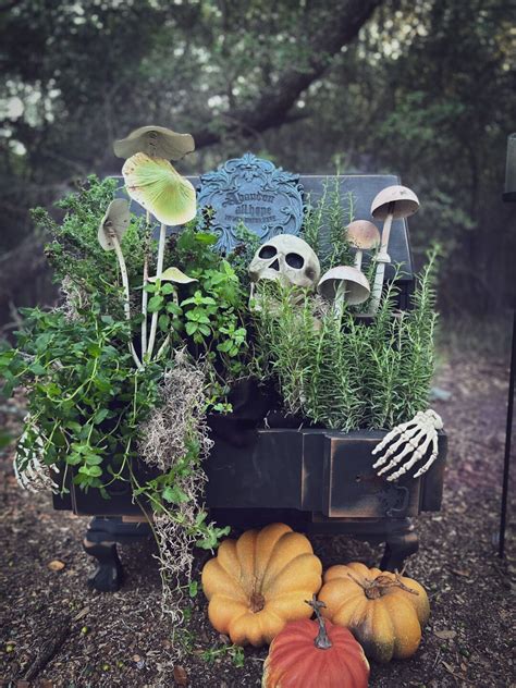 DIY Poison Herb Garden, Plant If You Dare!! – Junk Gypsy Blog