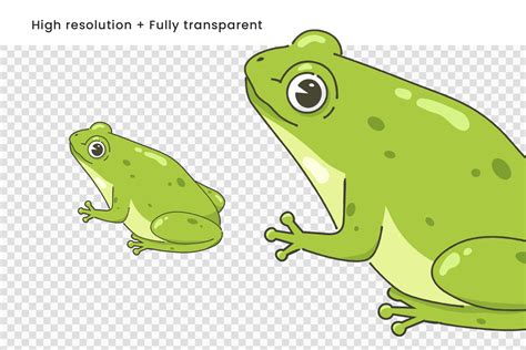 Frog Illustrations Set [AI, EPS, PNG] - DesignerCandies