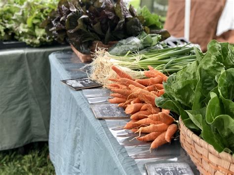 Bounty of the Barrens: A Guide for Visitors - Barren County