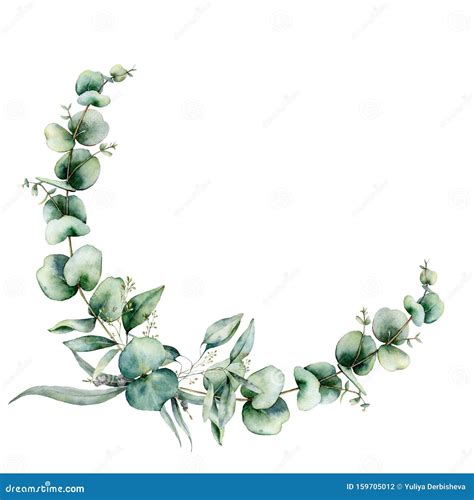 Watercolor Floral Wreath With Eucalyptus Leaves Hand Painted