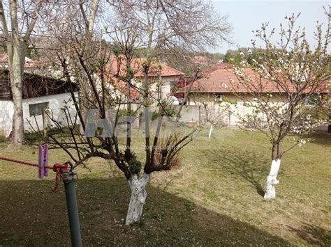 grocka vrcin kuca halo oglasi