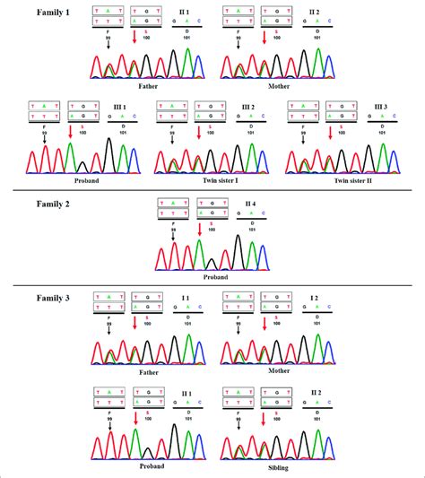 Sanger Sequencing Chromatograms Of All Three Probands And Their