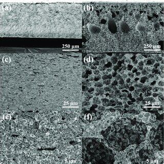 The Cross Sectional FE SEM Images Of Tape Casting A C E And