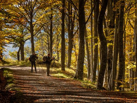 Parco Nazionale Foreste Casentinesi