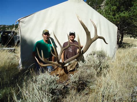 Wyoming Elk Photos - TIMBERLINE - WYOMING BIG GAME HUNTING