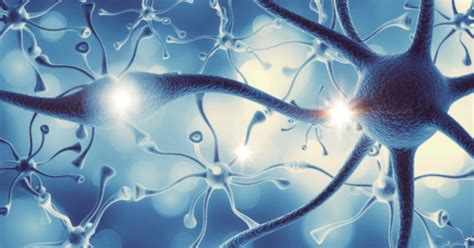 What is MS? | MS-UK