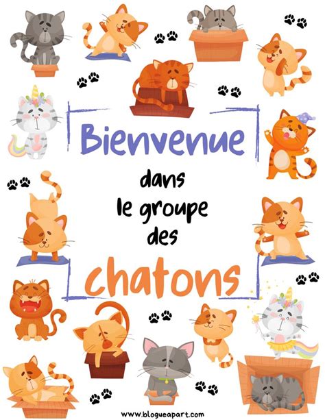 A Poster With Different Types Of Cats On It S Sides And The Words