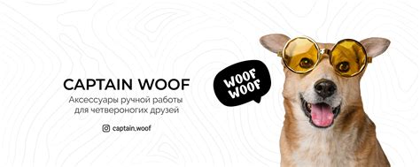 CAPTAIN WOOF Адресники для собак и кошек | ВКонтакте