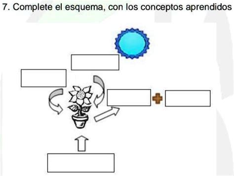 Solved Complete El Esquema Con Los Conceptos Aprendidos Ayuda Plissss