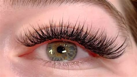 Wispy Lash Extensions The Ultimate Guide To Wispy Lash Extensions For Lash Beginners