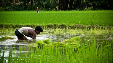 Bangladesh: Climate Change to Increase Hunger and Malnutrition · Global ...