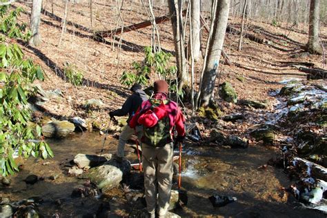 Meanderthals Thompson Creek And Pilot Rock Loop Pisgah National Forest