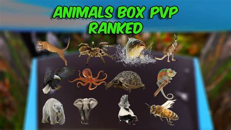 Animal Box Pvp Ranked 2589 9549 1093 Von Babyfacecro Fortnite