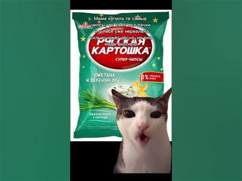 #чипсы #кот - YouTube
