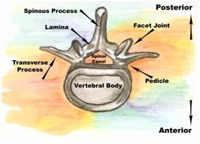 Micro-laminectomy and Μicro-hemilaminectomy | e-algos