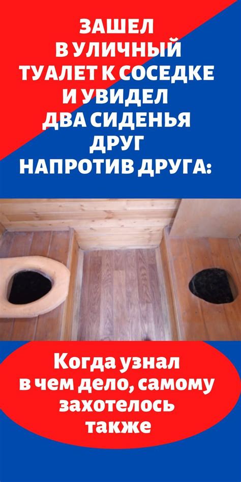 Зашел в уличный туалет к соседке и увидел два сиденья друг напротив ...