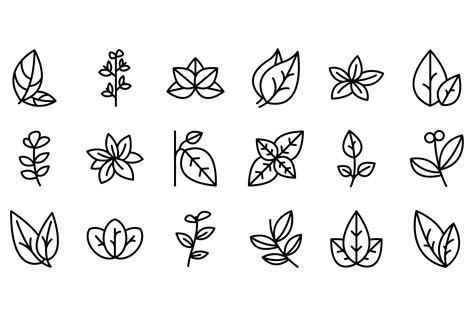 Oregano Icons Set Outline Vector Herb Graphic By Ylivdesign Creative