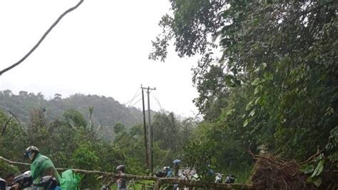 Pohon Tumbang Dan Kerusakan Rumah Terjadi Di Sejumlah Titik Di Minahasa