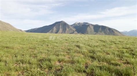 Don Não Toque Na Grama Pornhub Gay