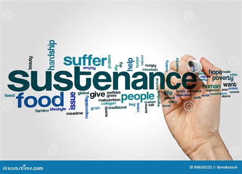 Sustenance Word Cloud Stock Photo Image Of Poor Poverty 88650232