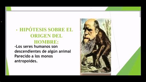 Exposición De Ciencias Tema Evolución De Los Primates Y Hominidos Fósiles Al Homo Sapiens