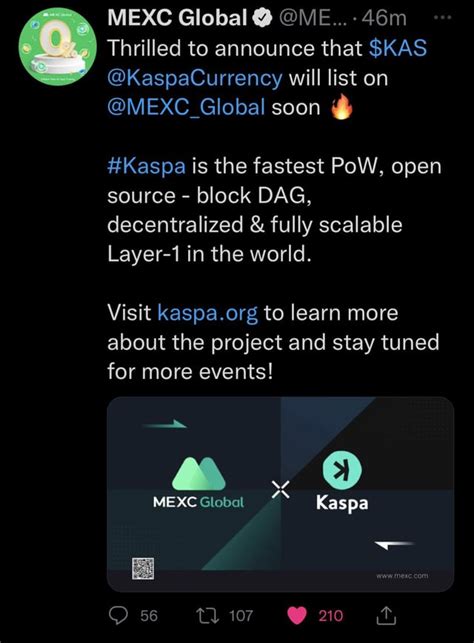 Best Wallet for Kaspa : r/kaspa