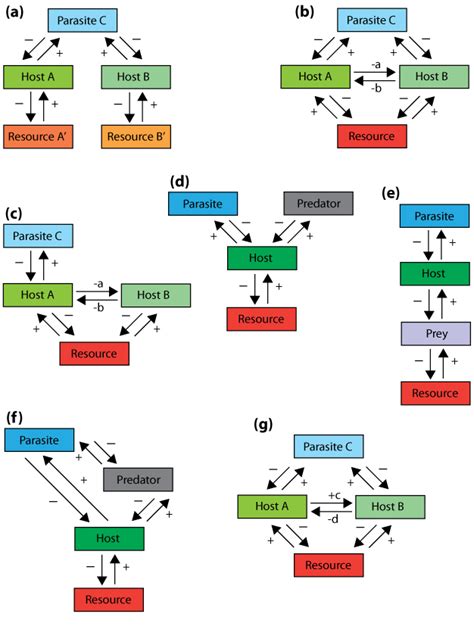 Species Interactions and Competition | Learn Science at Scitable