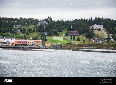 View Of The Dildo Brewing Company And George House Heritage Bed And Breakfast From Smith S