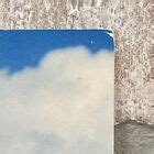 Vintage American Beach Beauty Postcard Pin Up Girl Sexy Risque Brunette EBay